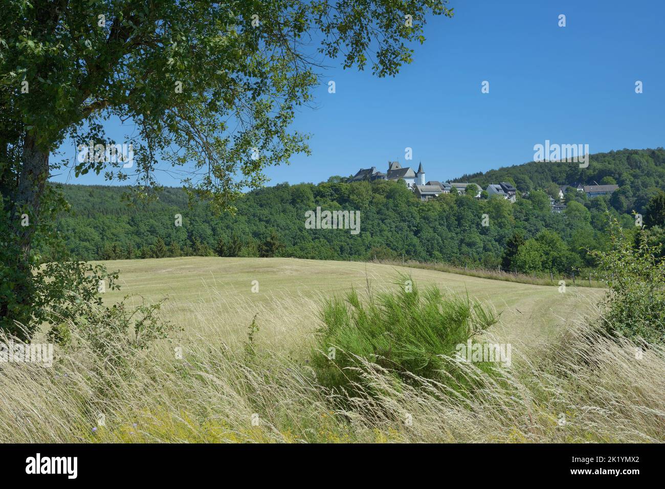 Blick auf das Dorf Wildenburg in der Eifel Stockfoto