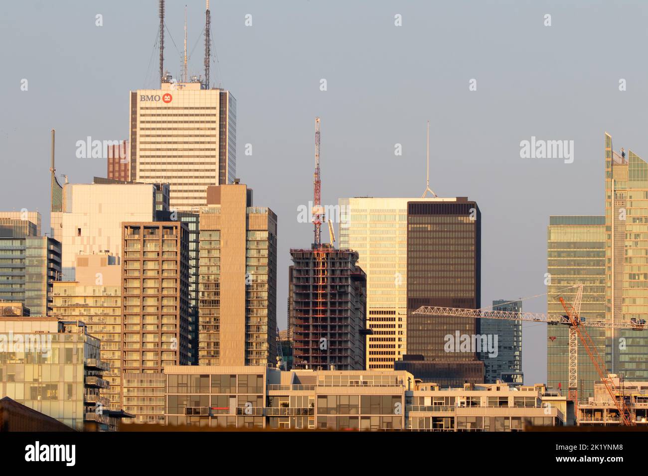 Gebäude im Toronto Financial District, viele für die kanadischen Big 5 Banken, werden spät am Tag zur goldenen Stunde gesehen. Stockfoto