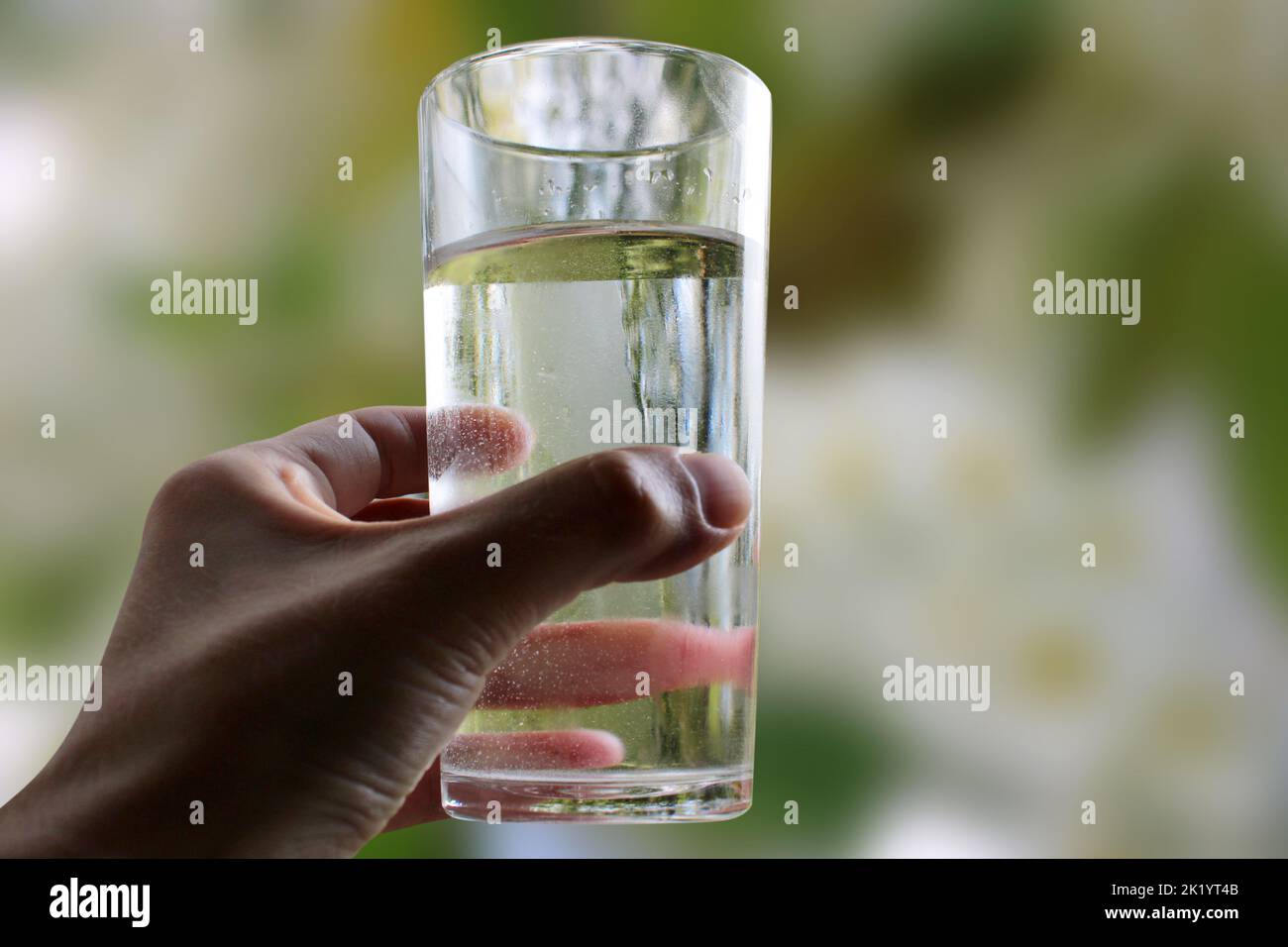 Ein Glas Wasser in der Hand Nahaufnahme auf einem natürlichen grünen Hintergrund im Freien. Stockfoto