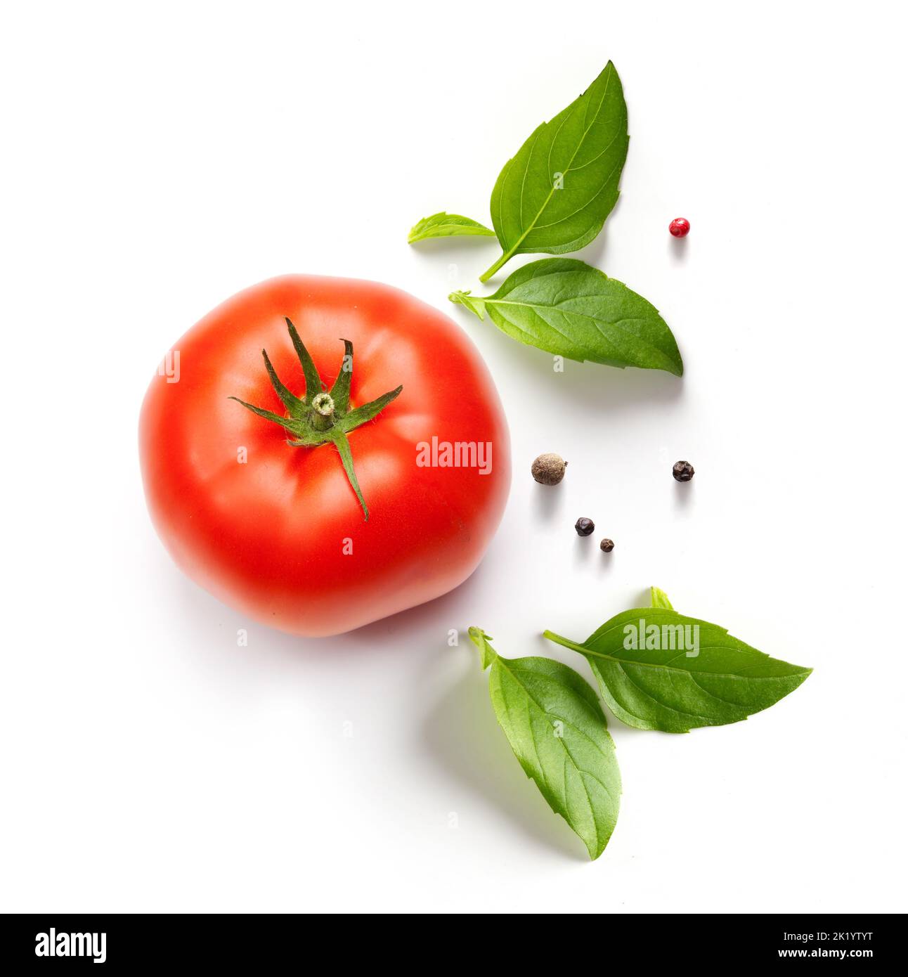 Gewürze, Kräuter und Tomaten auf weißem Hintergrund. Design for Food Blog oder Banner Stockfoto