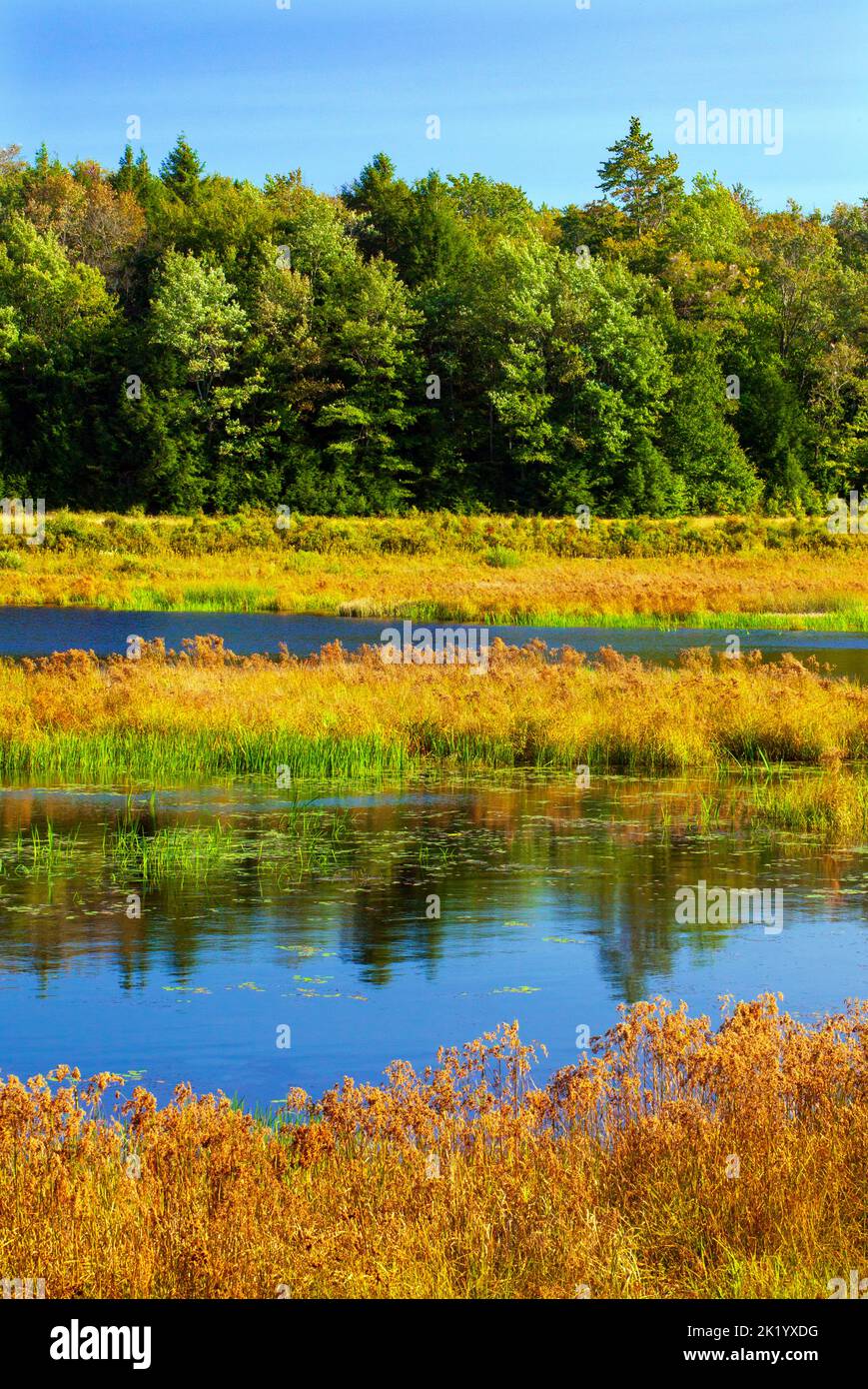 Upper Klondike Pond, zusammen mit seiner Schwester Lower Klondike Pond, auf dem Quellwasser des Lehigh River in Pennsylvania Pocono Mountains, wo importa Stockfoto