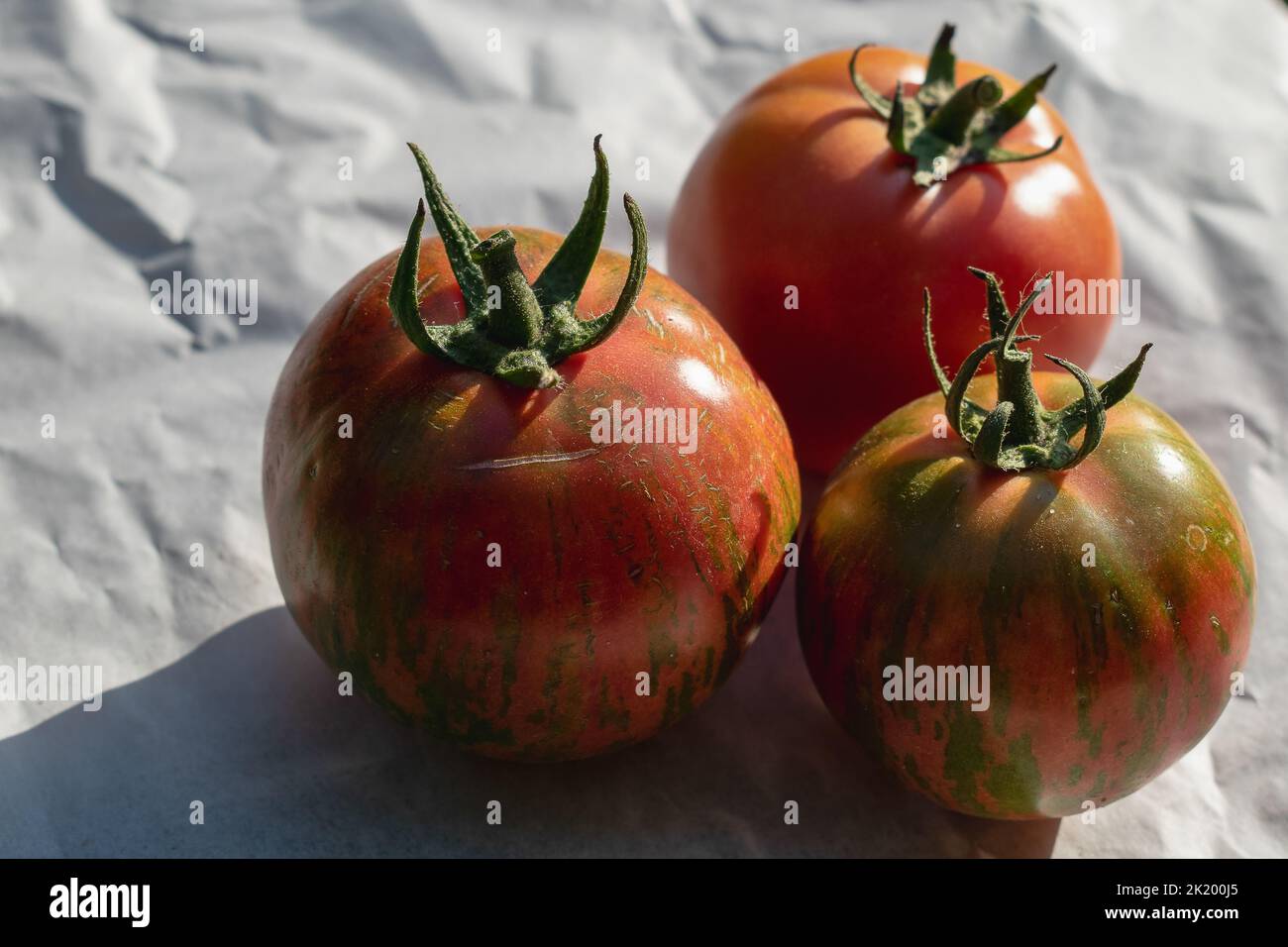 Rote Tomaten auf weißem Hintergrund. Frisches Gemüse auf dem Tisch Stockfoto