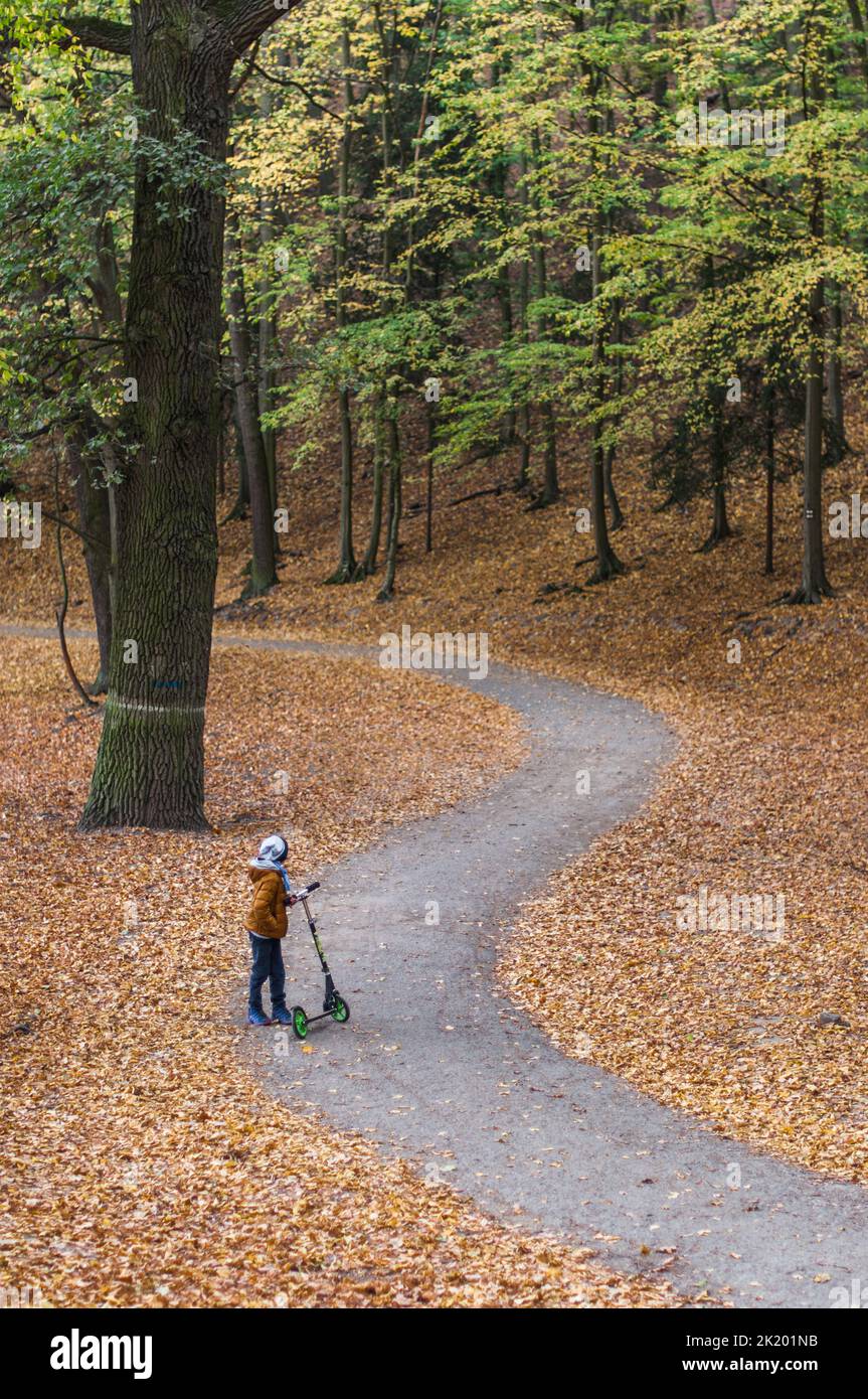 Junge mit einem Roller auf einer kurvenreichen Straße zwischen Herbstblättern. Stockfoto