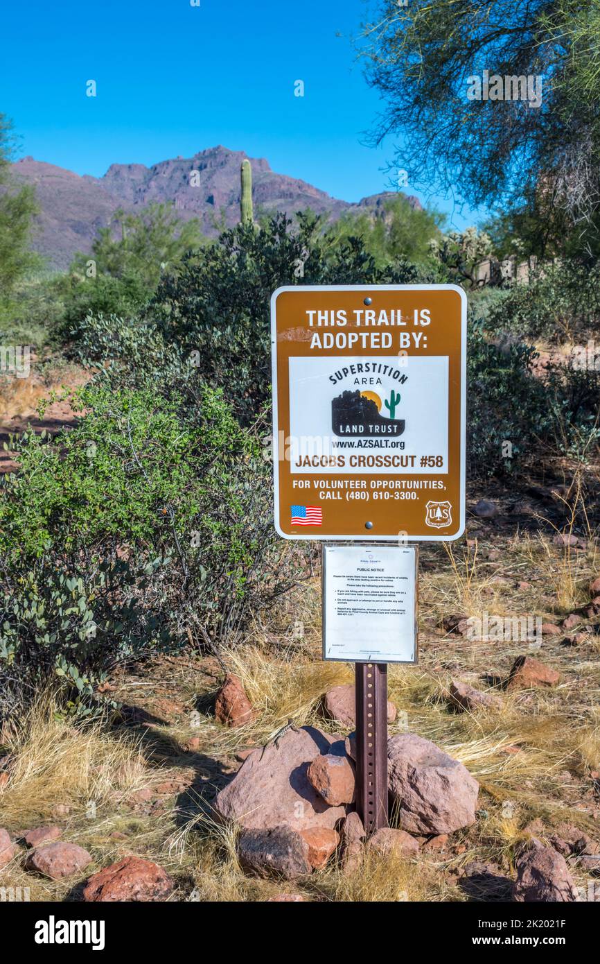 Eine Beschreibungstafel für den Trail im Apache Trail, Arizona Stockfoto