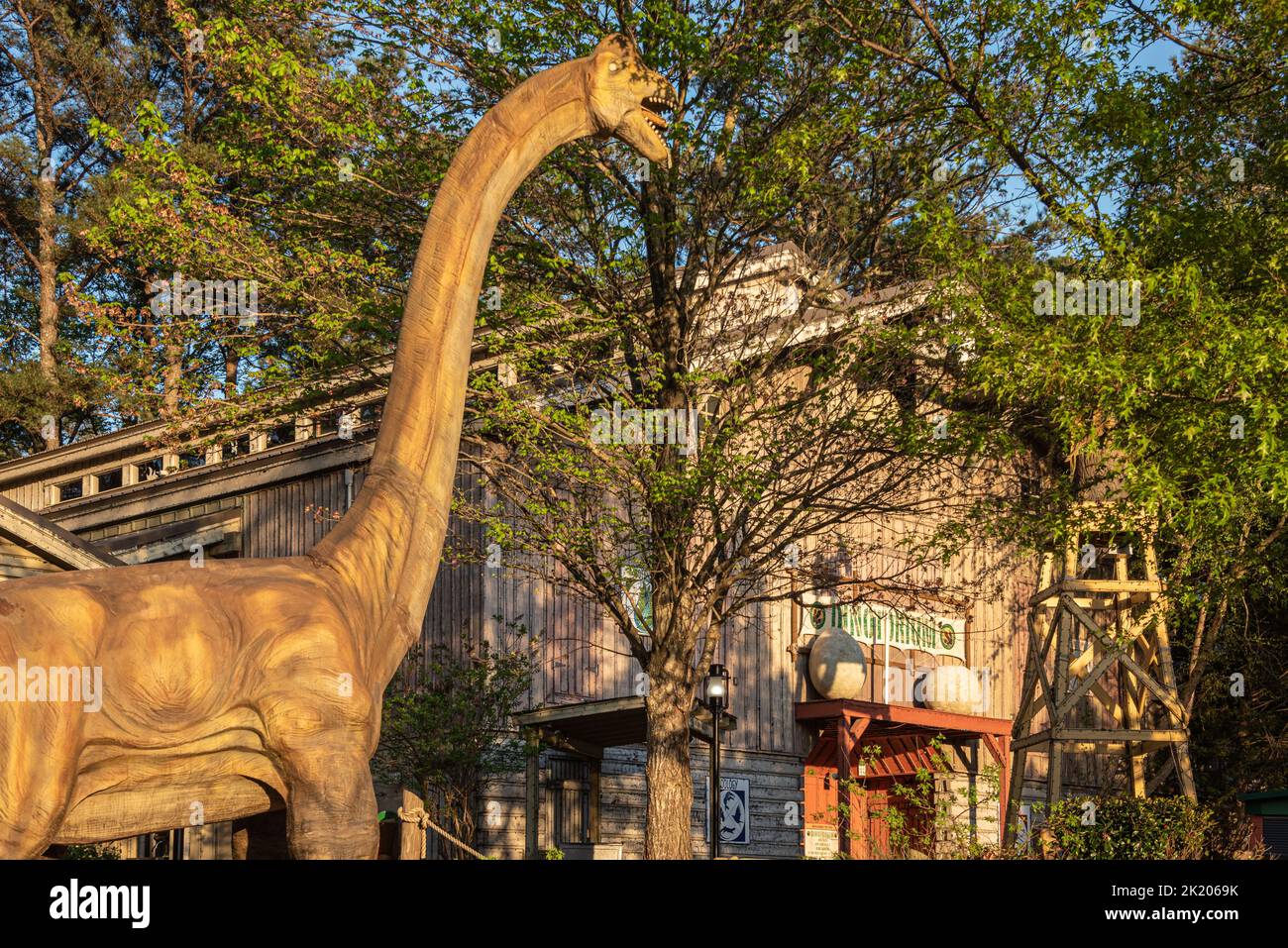 Lebensgroßer bewegter Brachiosaurus im Dinosaurier- und Dinosaurierzentrum Erkunden Sie den Stone Mountain Park in der Nähe von Atlanta, Georgia. (USA) Stockfoto