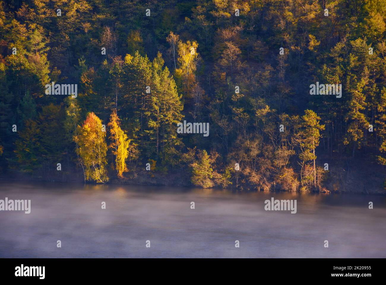 Wald am See im Herbst. Bäume am Ufer im Herbstlaub. Wunderschöne Landschaft mit Nebel auf dem Wasser an einem warmen, sonnigen Morgen Stockfoto