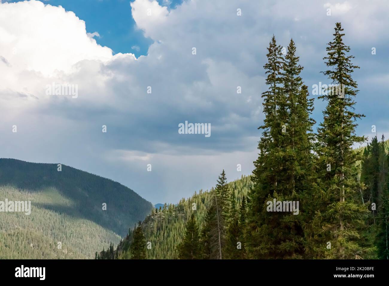 Berge und Bäume, Southern Rocky Mountains, Colorado, USA Stockfoto