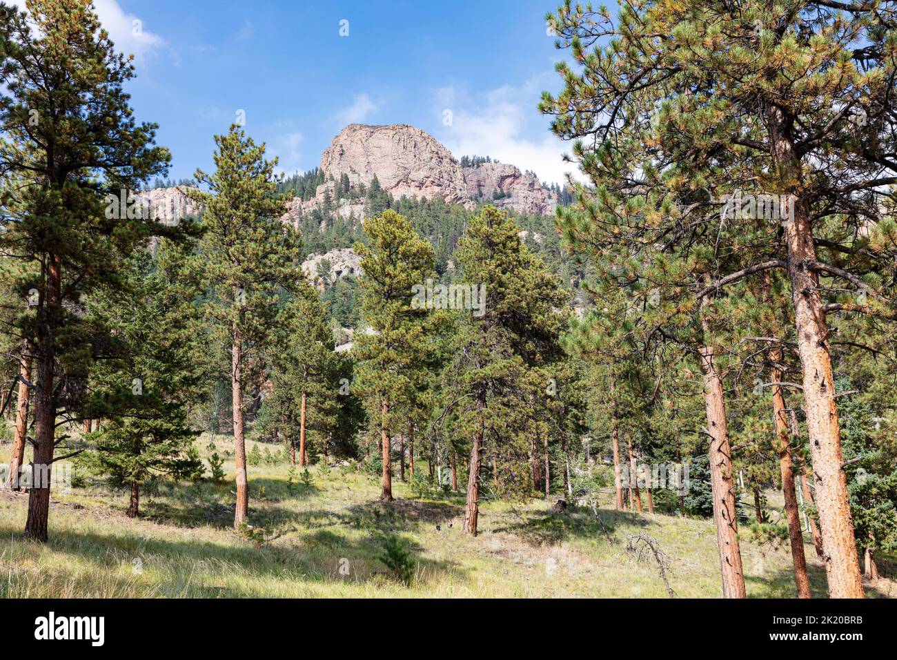 Staunton State Park, Colorado, USA Stockfoto
