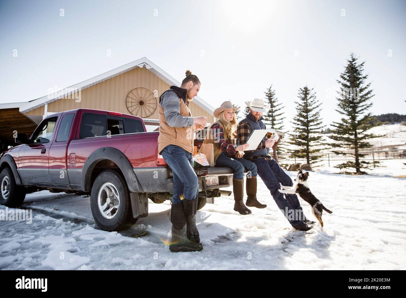 Rancher essen zu Mittag und treffen sich auf einem LKW-Bett auf einer sonnigen verschneiten Ranch Stockfoto
