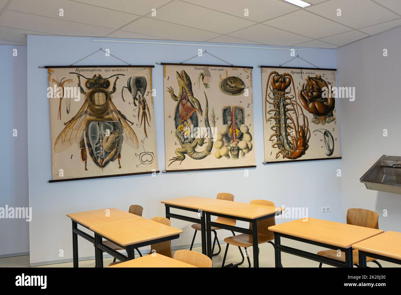 Biologie-Klassenzimmer einer niederländischen High School. An der Wand befinden sich mehrere Poster mit Vergrößerungen von Tieren. Stockfoto