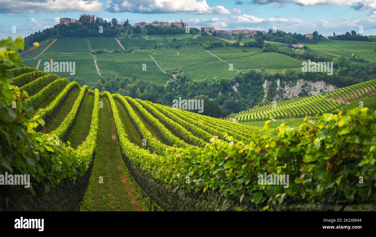 Langhe Weinberge Panorama, in der Nähe von Barolo, UNESCO-Stätte, Piemont, Norditalien Europa Stockfoto