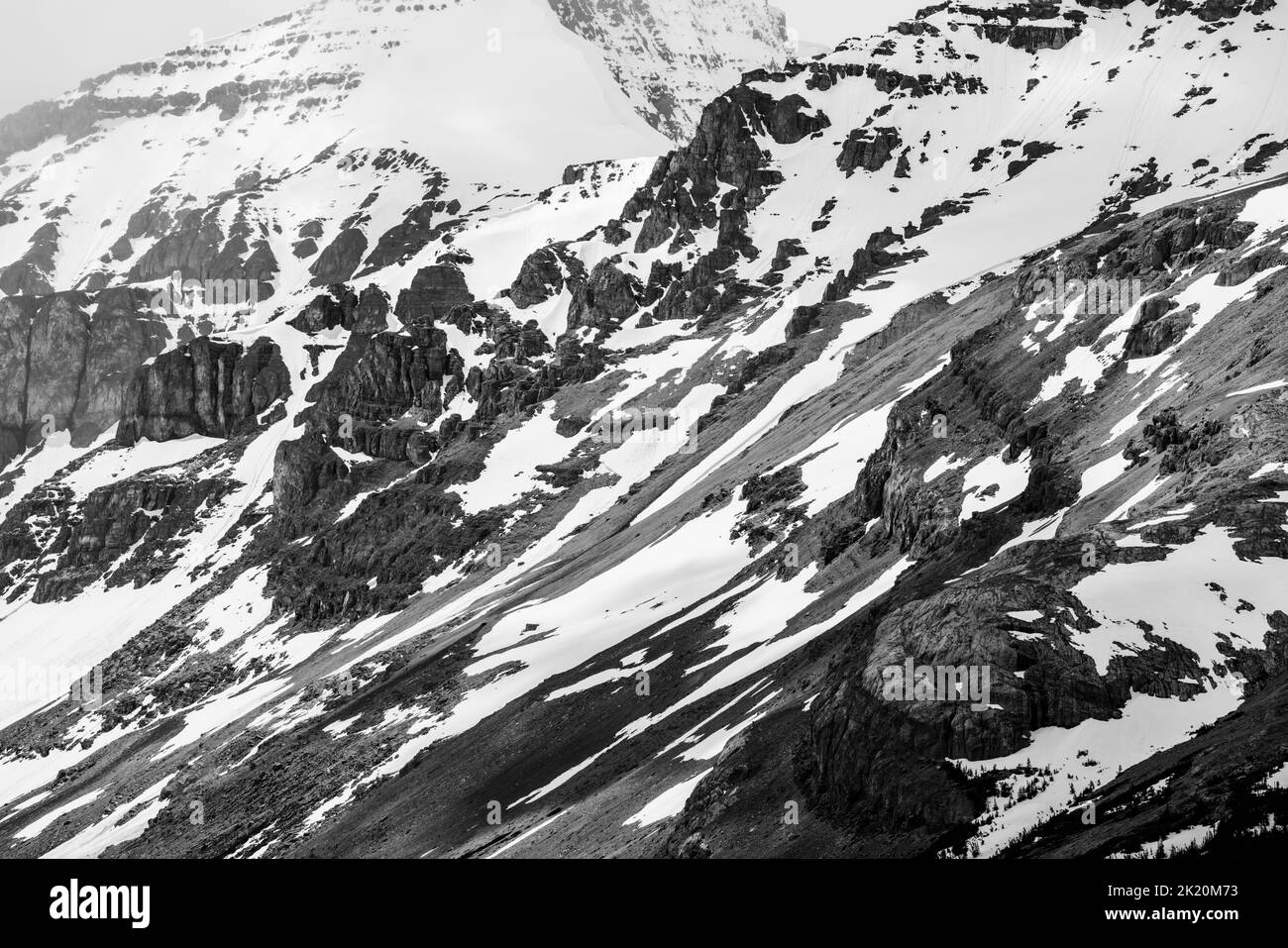 Schwarzweiß; Snow Dome Mountain; Dome Glacier; Columbia Ice Fields; Jasper National Park; Alberta; Kanada Stockfoto