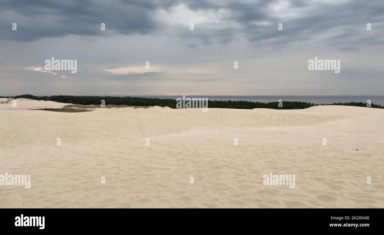 Sanddüne am Strand im Nationalpark in Leba, Polen Stockfoto
