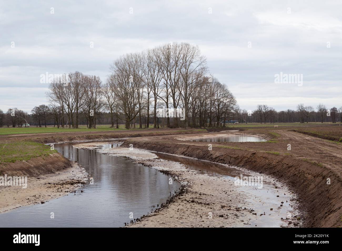 Rekonstruktion des Astense AA von einem kanalisierten Fluss zu einem mäandernden Fluss mit natürlicher Flora und Fauna in den Niederlanden Stockfoto