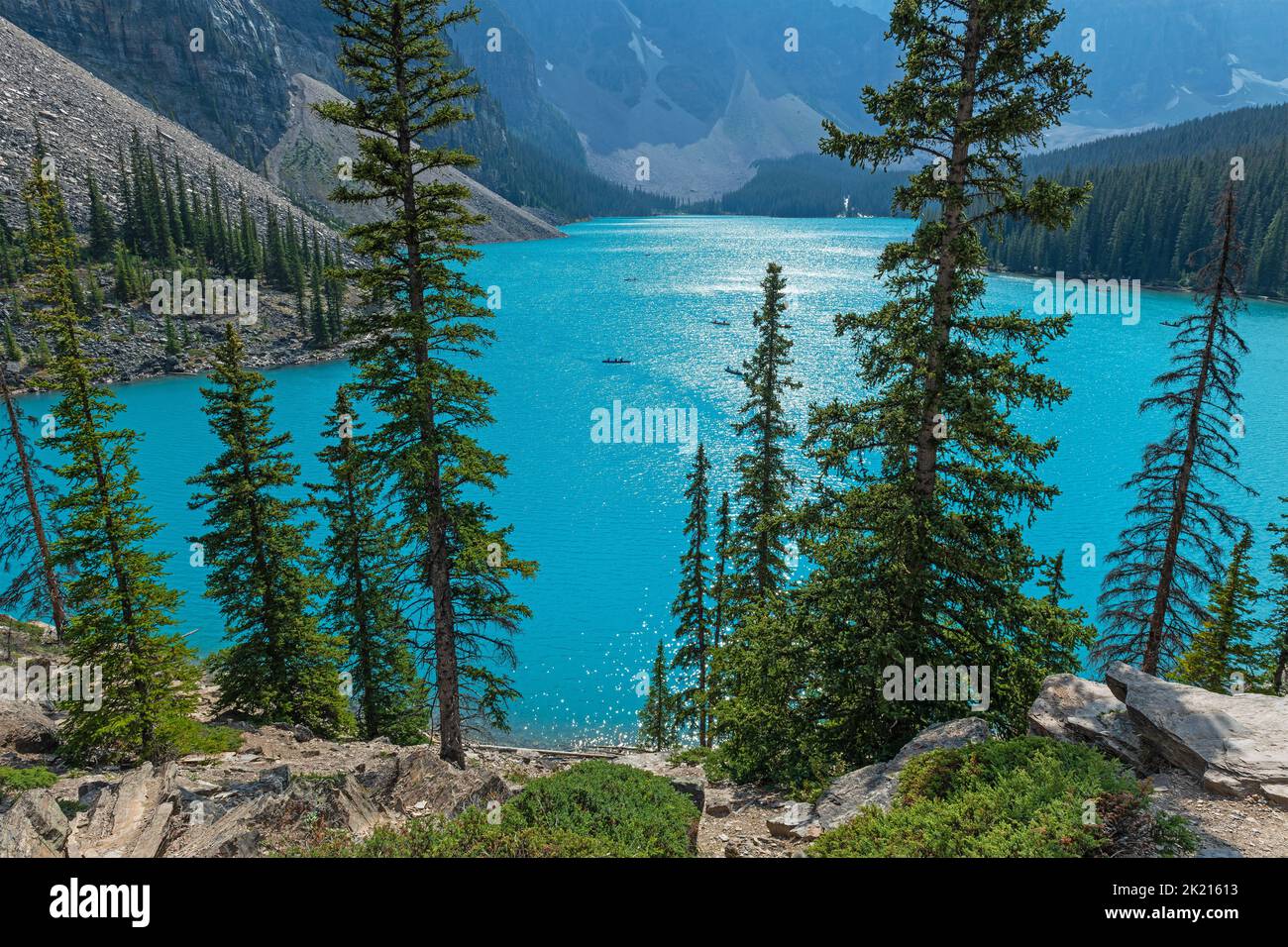 Moraine Lake mit Pinien bei Menschen, die im Sommer Kajak fahren, Banff National Park, Alberta, Kanada. Stockfoto