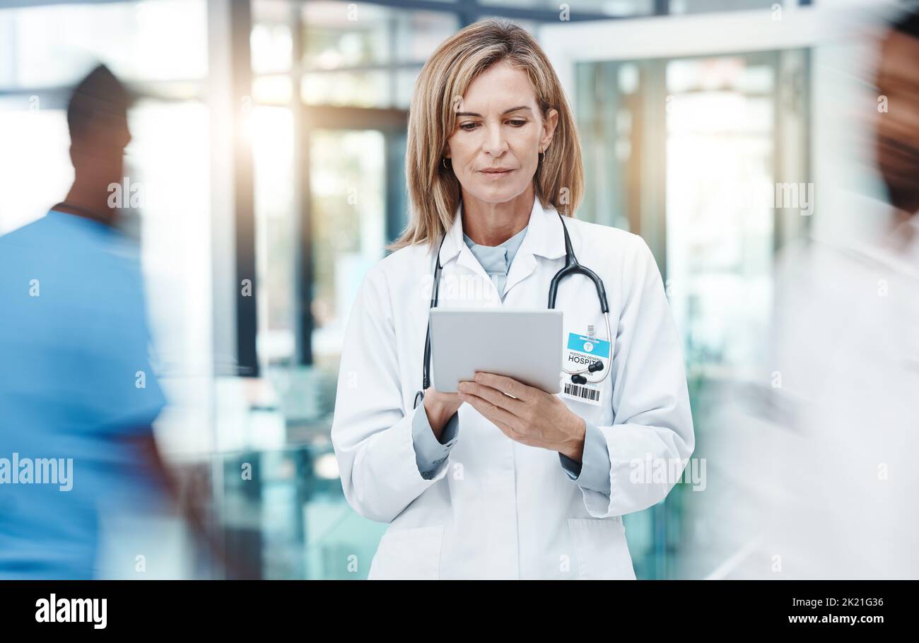 Ärztin, Planung von digitalen Tablets und Gesundheitswesen, die in einem stark frequentierten Krankenhaus an medizinischen Forschungsergebnissen, Online-Testergebnissen und Technologie arbeitet. Ausgereift, fokussiert Stockfoto