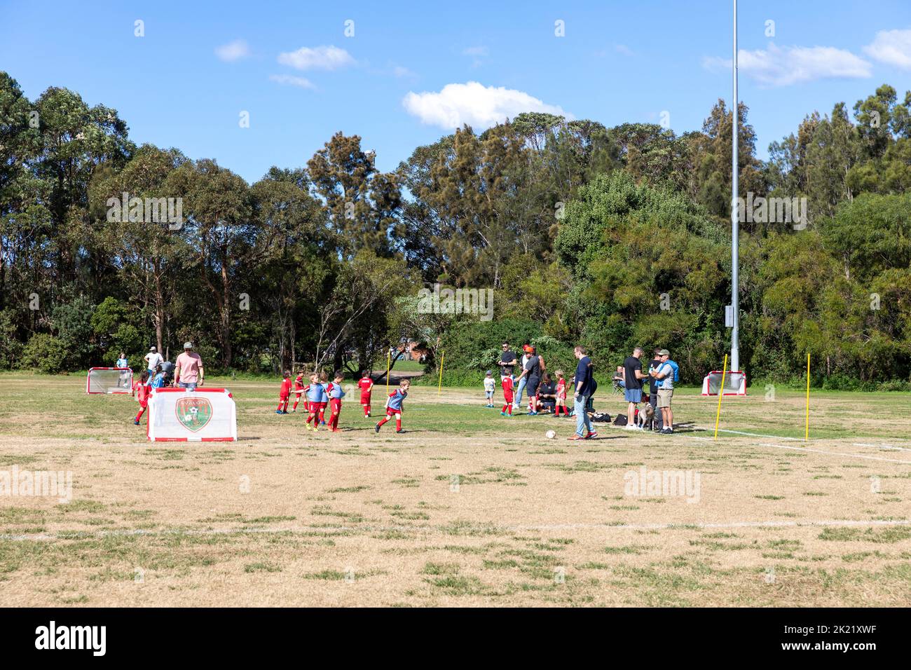 Kleine Jungen unter 5 Jahren spielen in Sydney, Australien, Fußball auf einem kleinen Rasen, während die Eltern zusehen Stockfoto