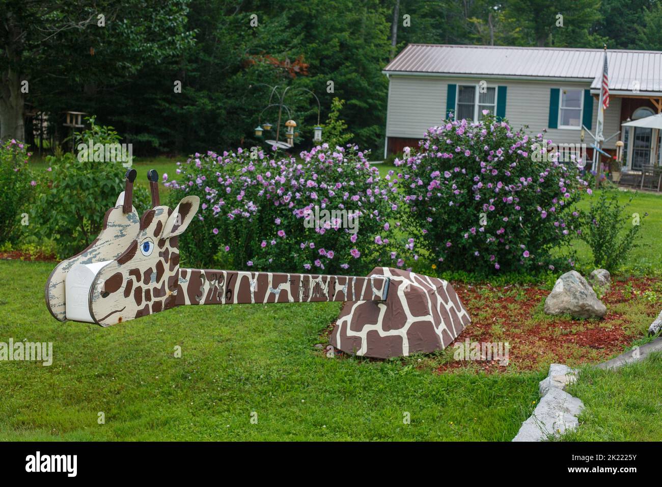 Eine Mailbox für Volkskunst in Form einer Giraffe, in der Nähe des Oneida Lake, im zentralen Bundesstaat New York, USA. Stockfoto