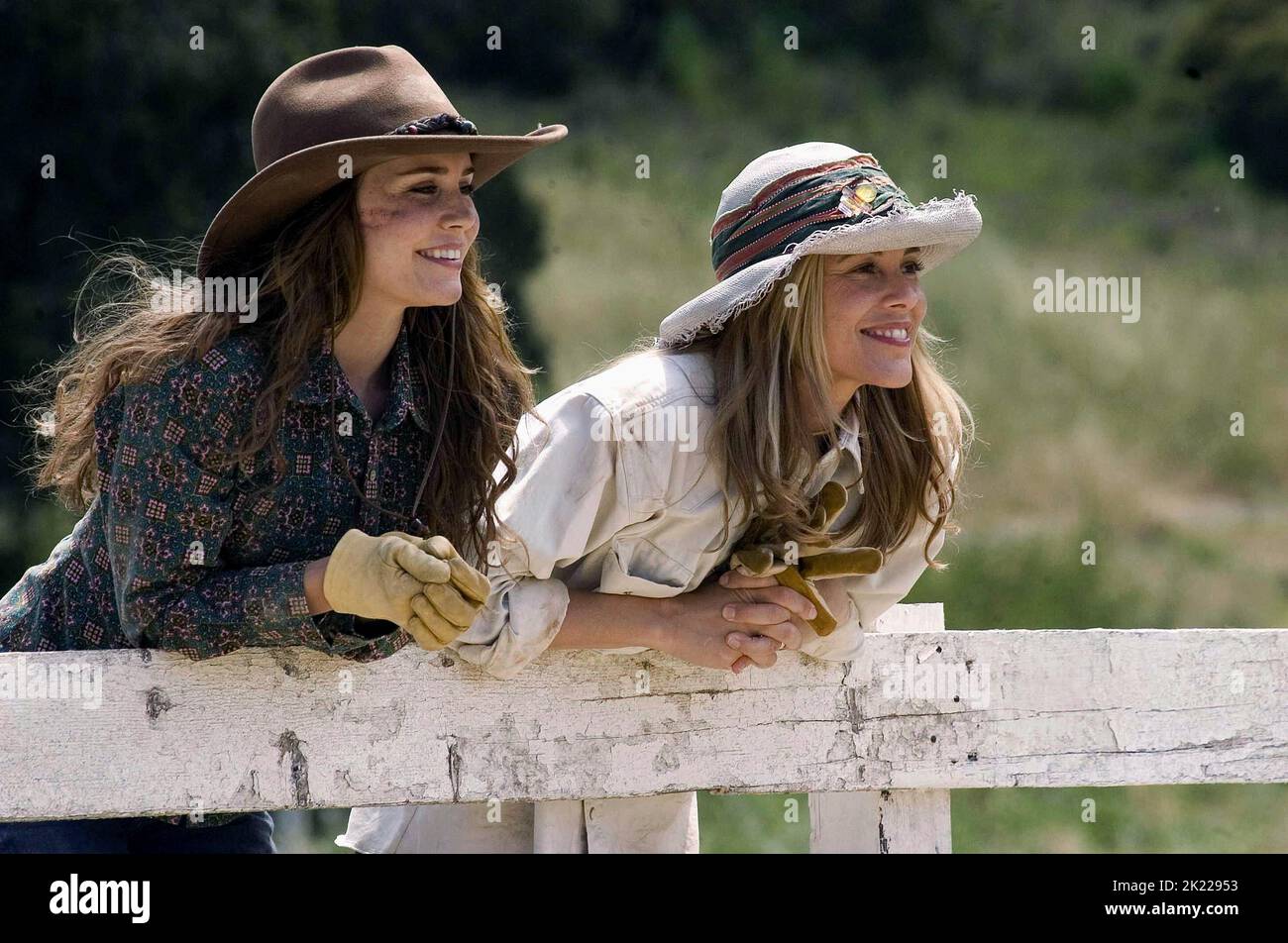 LOHMAN, BELLO, FLICKA, 2006 Stockfoto