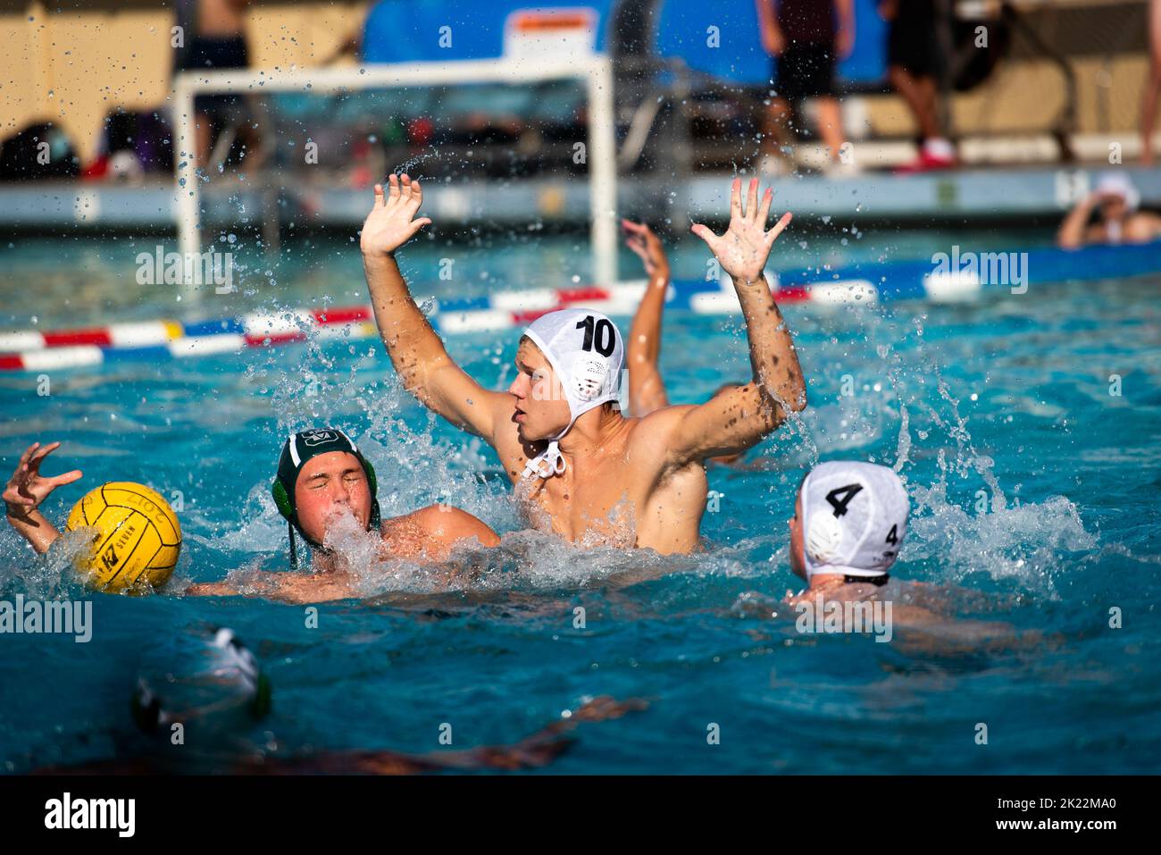 Ein kaukasischer Student Athlet spielt Wasserball für el Cerrito High School Wettbewerb Stockfoto