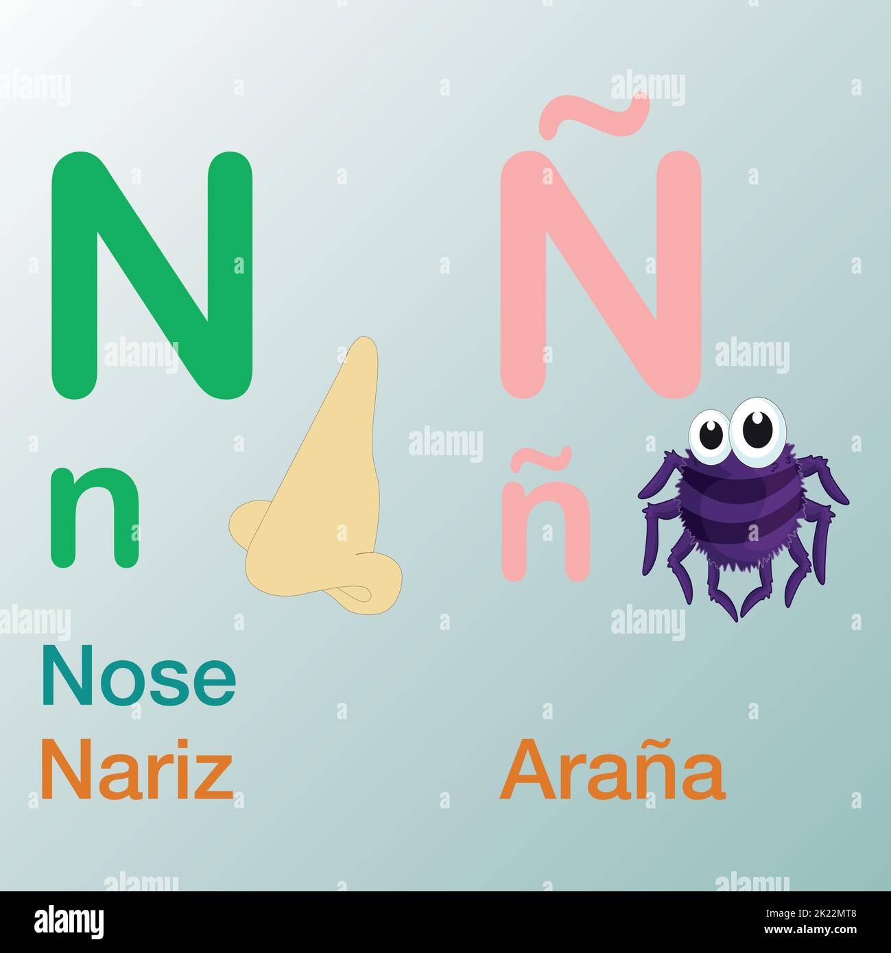 Ein englisch-spanisches Alphabet-Buchdesign für internationale Kinder mit „N“-Buchstaben-Illustrationen Stock Vektor