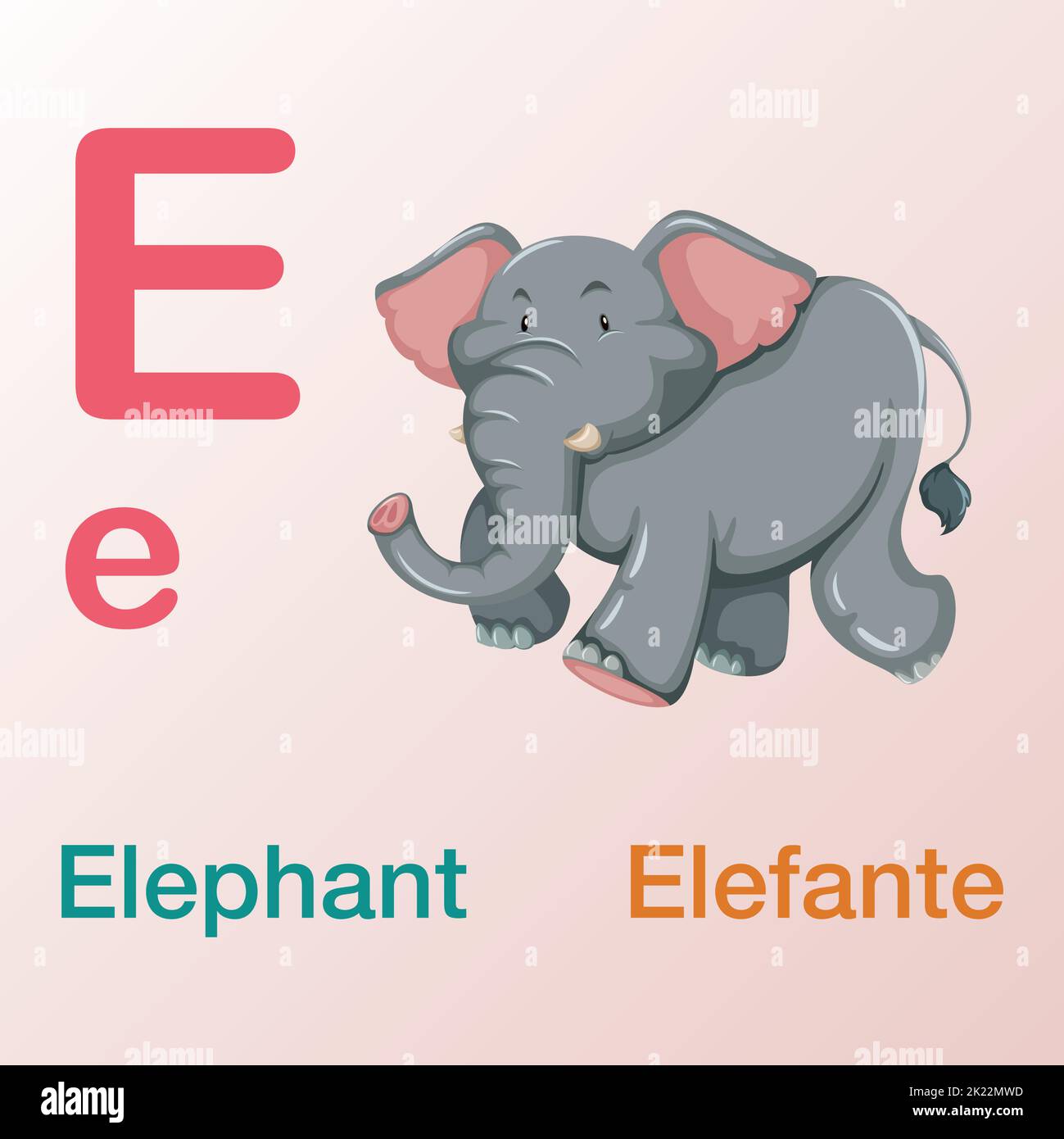 Ein englisch-spanisches Alphabet-Buchdesign für internationale Kinder mit E-Buchstaben-Illustrationen Stock Vektor