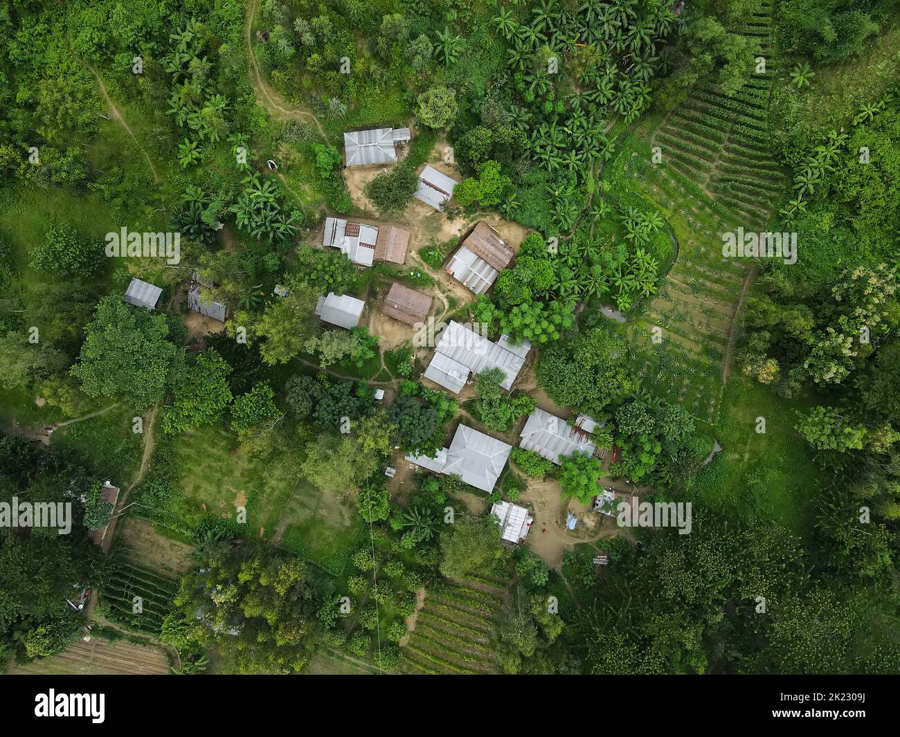 Häuser von Stämmen leben auf den Hügeln in Wahedpur Union von Mirsharai Region in Chittagong Stadt. Sie sind im Grunde auf den Berg fixiert, das Fundament ihres ganzen Lebenswerks, der Berg des Vertrauens. Die traditionellen Machang-Häuser der Bergstämme von Bangladesch sind verschwunden, sie leben jetzt in Zinnhäusern wie gewöhnliche Bewohner. Machang Häuser wurden komplett aus Bambus, Holz und Gramm. Chittagong, Bangladesch. Stockfoto