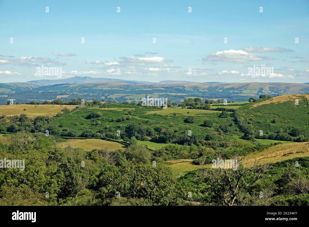 Blick nach Osten in Richtung Black Mountain und Llandeusant von Porth y Rhyd Llanwrda Carmarthenshire Wales Großbritannien im Sommer 2022 KATHY DEWITT Stockfoto