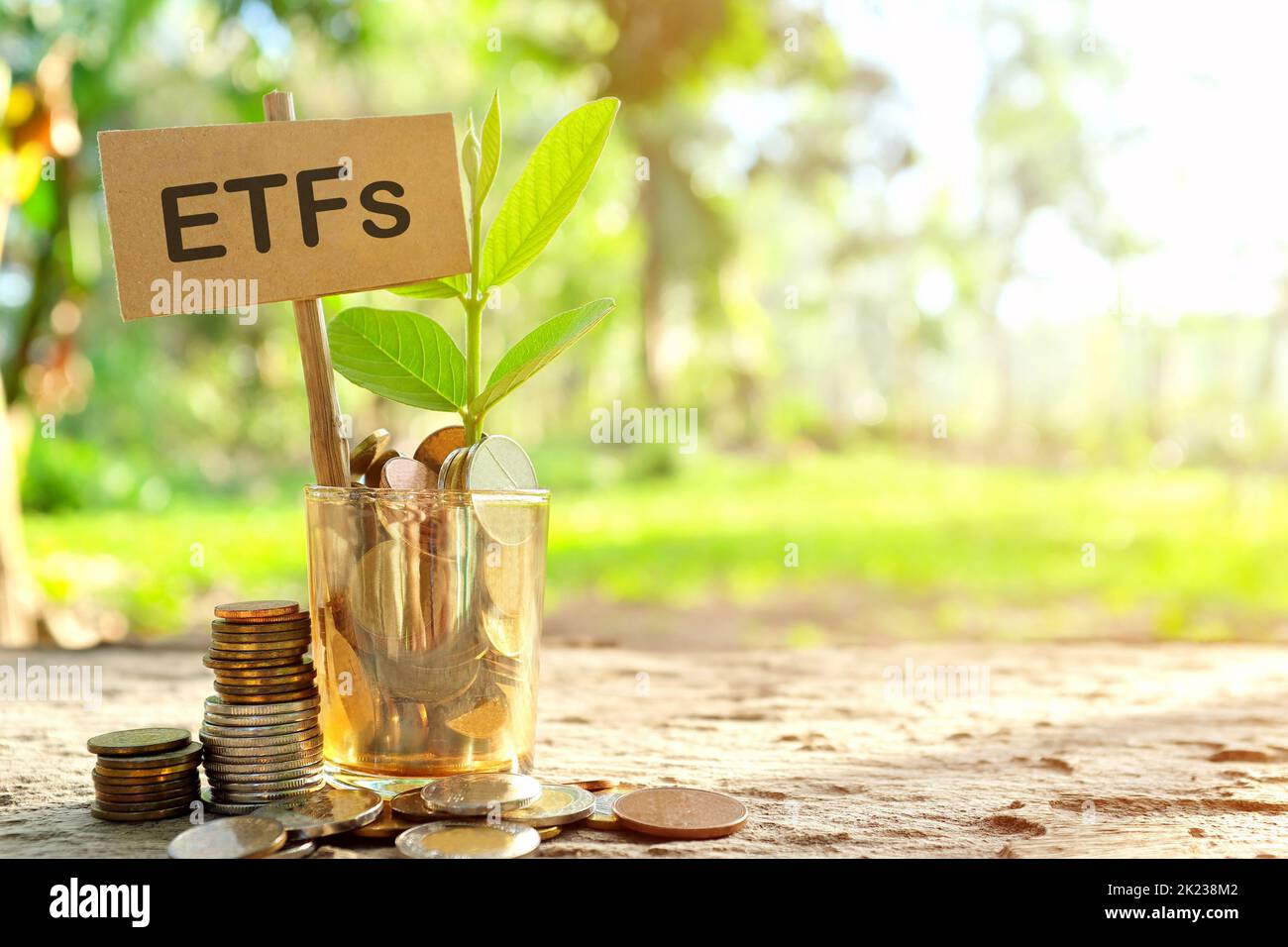 Investition in ETF oder Exchange Traded Fund Konzept. Münzen in einem Glas mit Erde und wachsender Pflanze im Hintergrund der Natur. Stockfoto