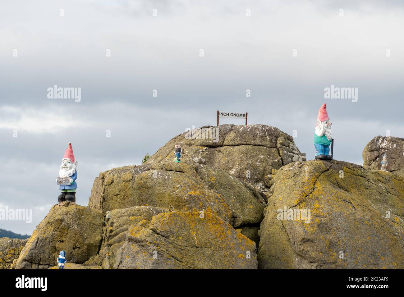 Inchgnome Island, eine felsige Insel, die mit Gartengnomen geschmückt ist, grenzt an Inchcolm auf Burntisland am Firth of Forth, Schottland, Großbritannien Stockfoto