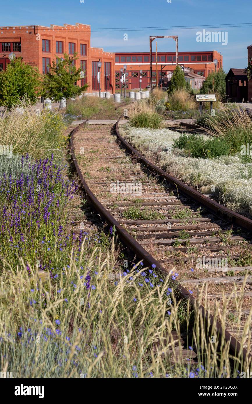 Evanston, Wyoming - die Gleise führen zu dem historischen Rundhaus und den Eisenbahnen, die 1912 von der Union Pacific Railroad erbaut wurden. Das Gebäude hatte 28 Buchten für ra Stockfoto