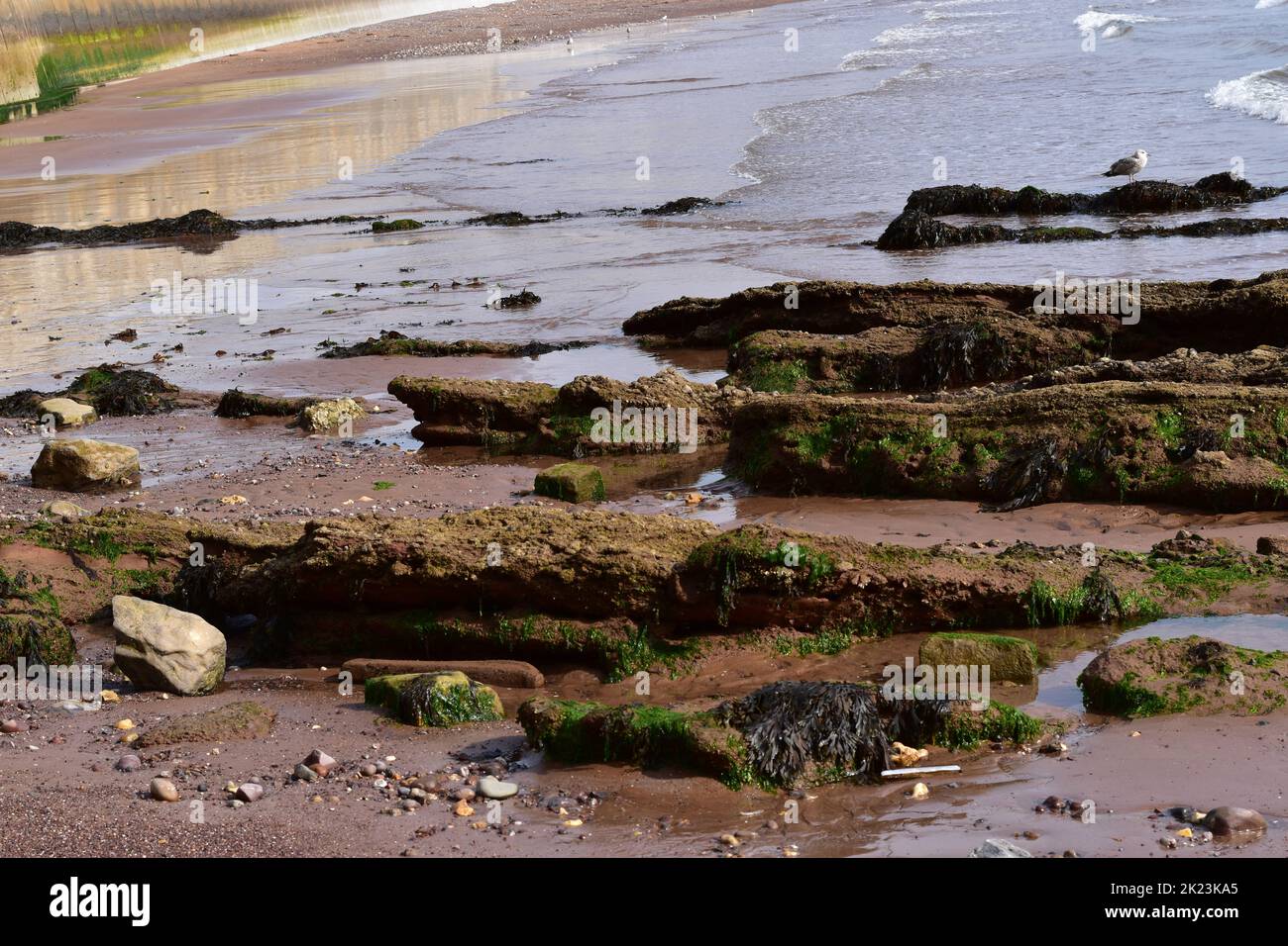 Dawlish Seafront. Stockfoto