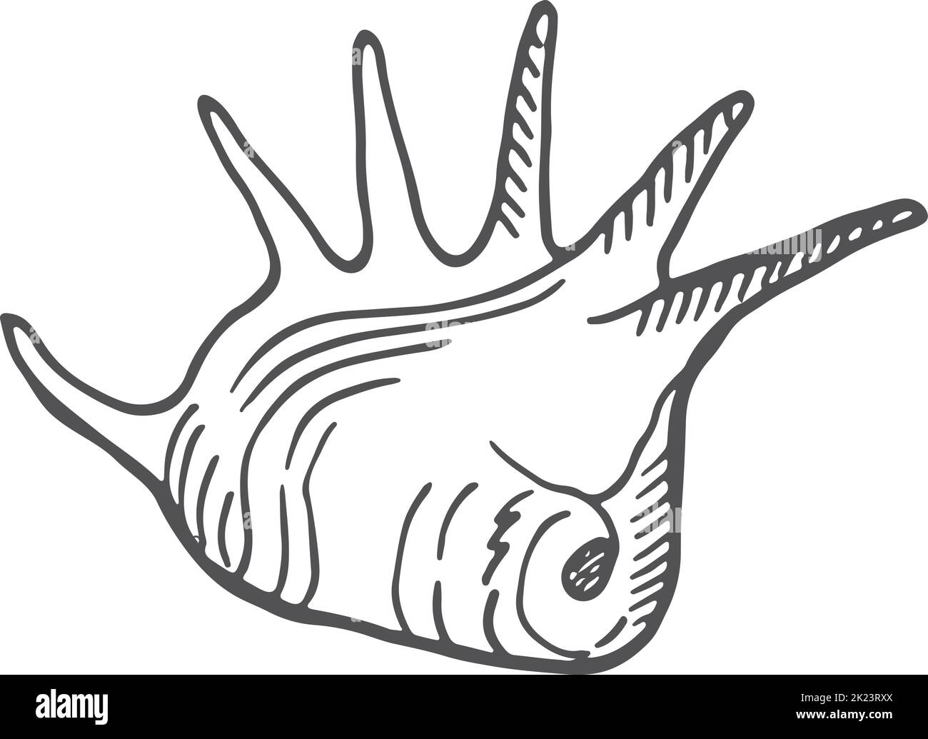 Seashell-Symbol. Handgezeichnete Skizze der Weichtiere Stock Vektor