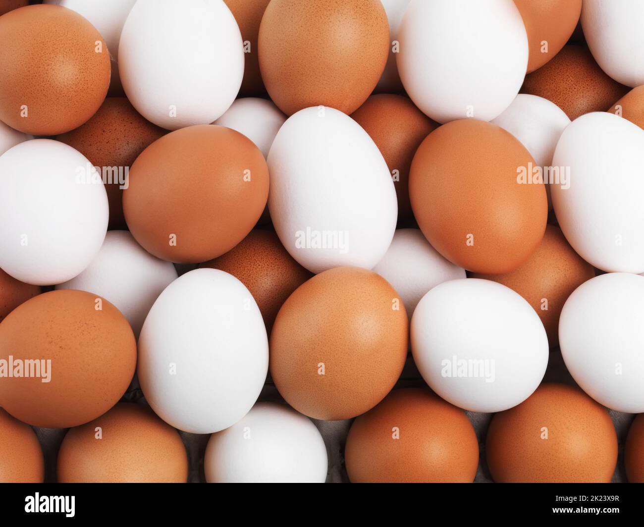 Jede Art, die Sie wollen, solange seine braun oder weiß. Eine Sammlung von braunen und weißen Eiern. Stockfoto