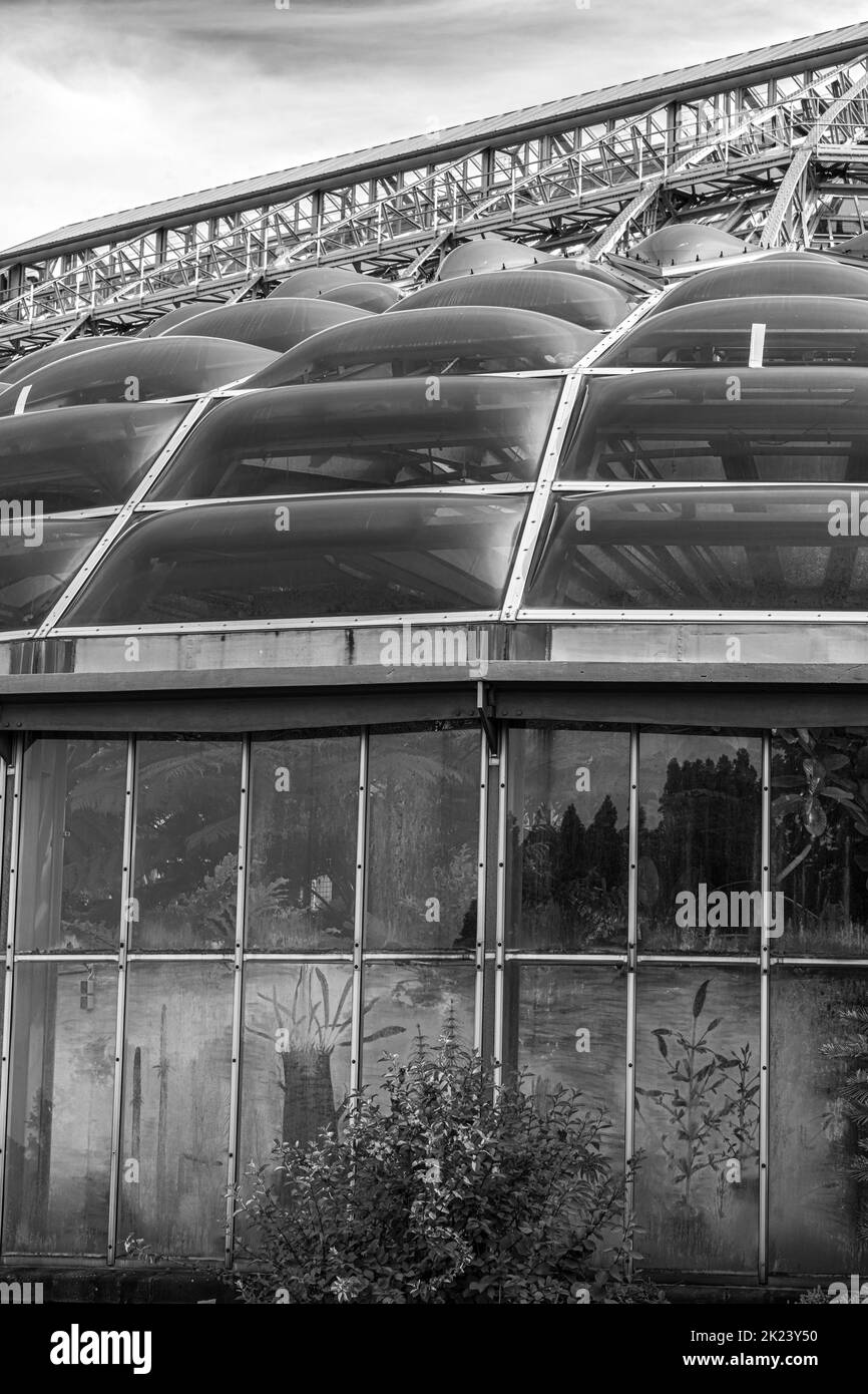 Glasgewächshäuser im Botanischen Garten, Berlin, Deutschland Stockfoto