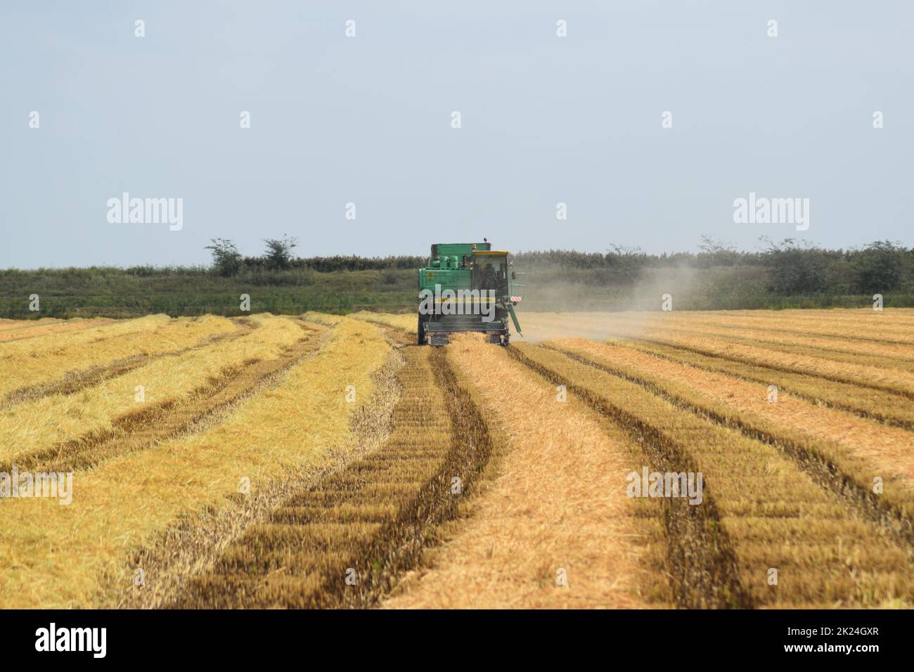 Russland, Poltavskaya Dorf - 6. September 2015: Mähdrescher Don Agricultural Machinery Stockfoto