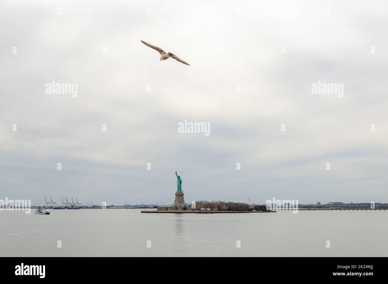 Möwe fliegt vor der Freiheitsstatue, Blick von der Staten Island Fähre, New York City, während des Wintertages mit bewölktem, horizontalem Blick Stockfoto