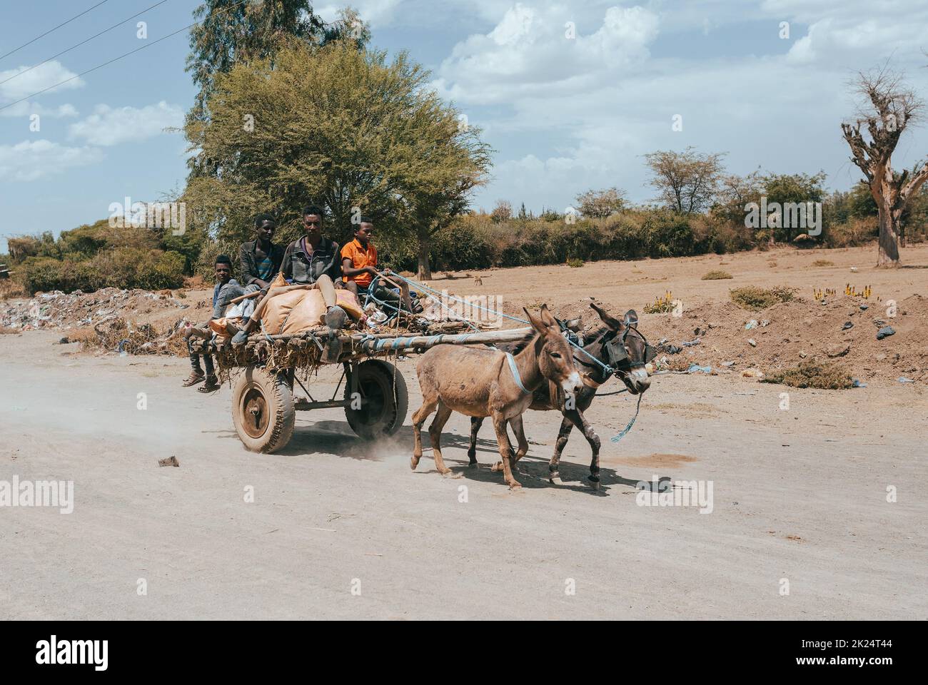 Oromia Region, Äthiopien - 16. Mai 2019: Äthiopischer Mann, der auf einem Eselswagen auf der Straße sitzt. Region Oromia, Äthiopien, Afrika Stockfoto