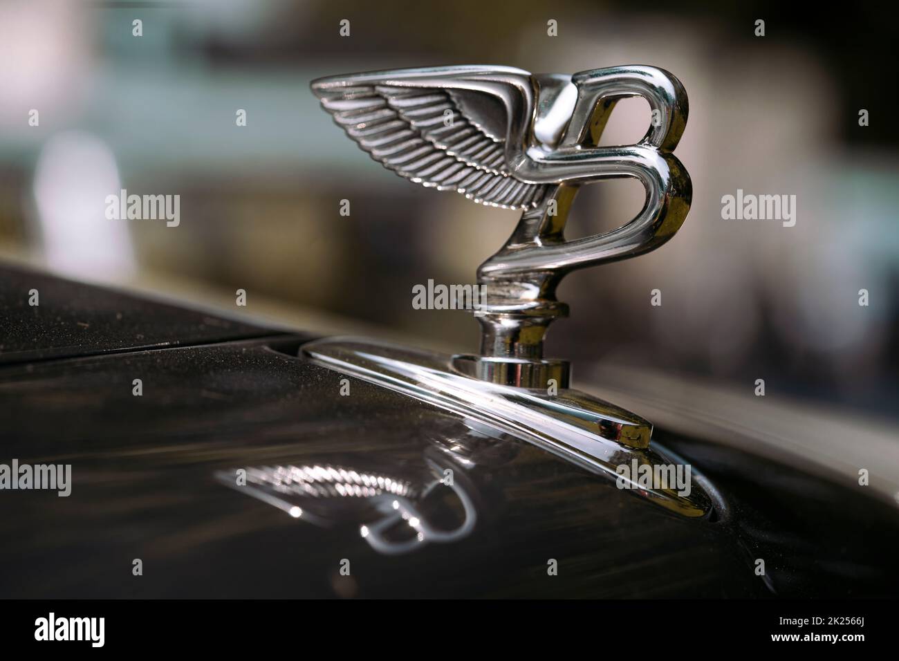 Como, Italien - 22. Mai 2022: Nahaufnahme einer illustrativen redaktionellen Abbildung der Bentley-Logo-Statuette auf einem Auto. Stockfoto
