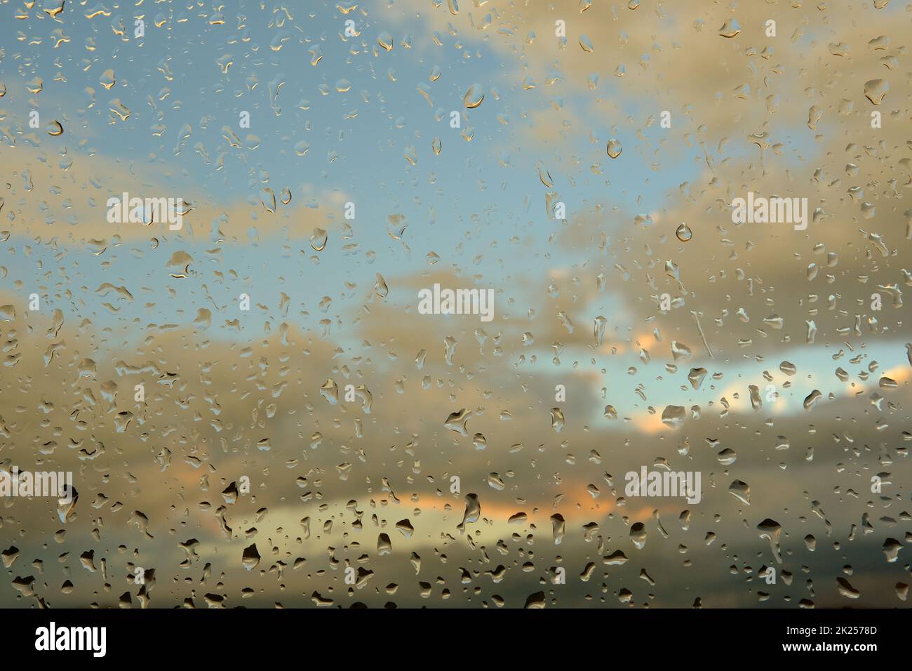 Wassertropfen auf dem Glas - abstrakter Hintergrund, Grautöne Stockfoto
