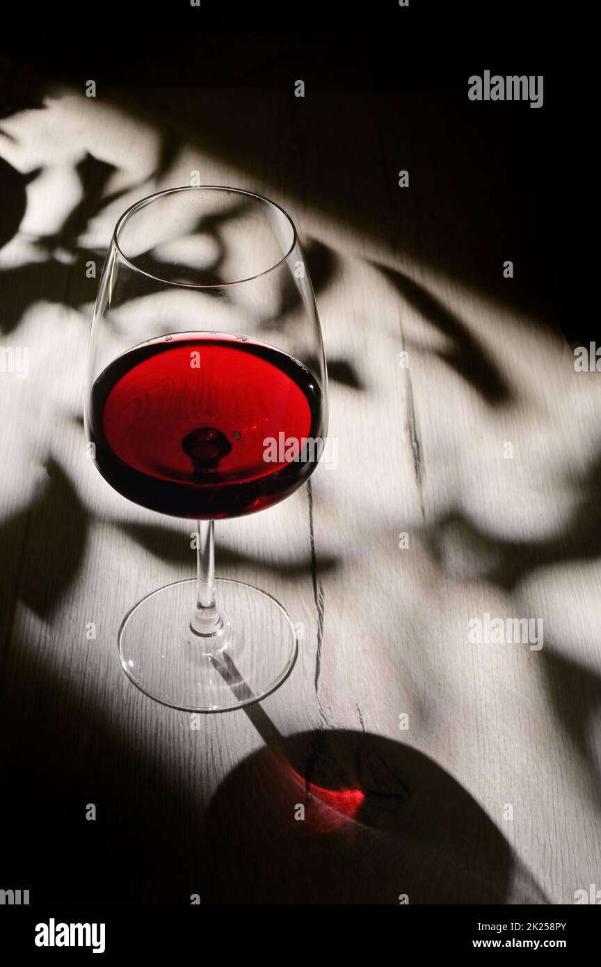 Abstrakte Schatten, Sonnenlicht und ein Glas trockener Rotwein Stockfoto