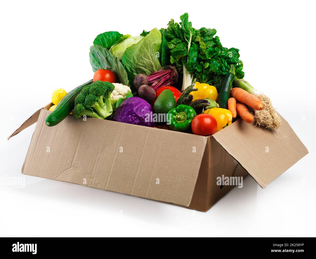 Voller Frische. Studioaufnahme eines Pappkartons, gefüllt mit Obst und Gemüse. Stockfoto