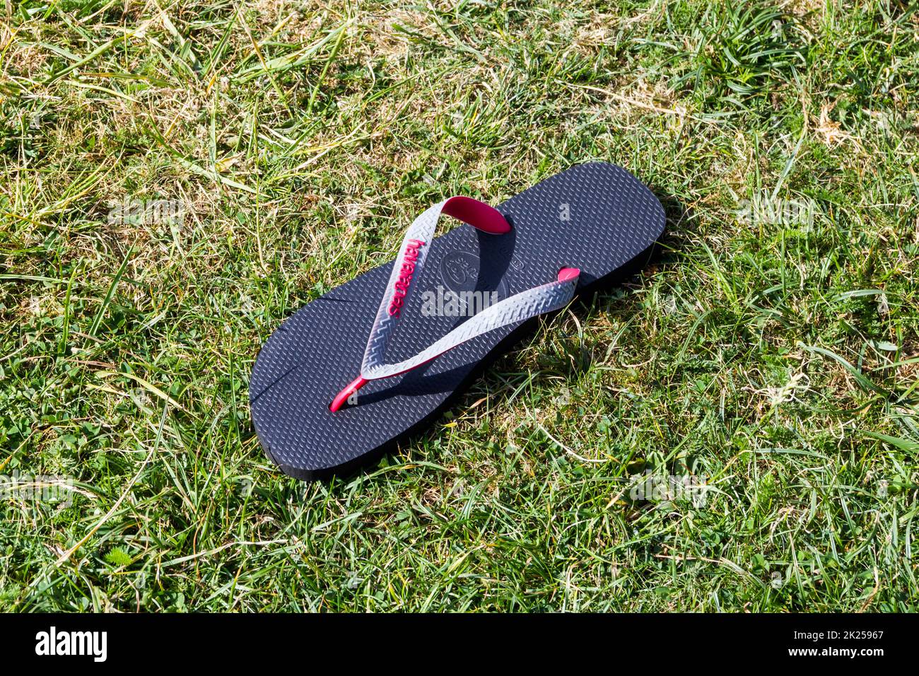 Ein verlorener oder verlassener Flip-Flop auf dem Gras Stockfoto