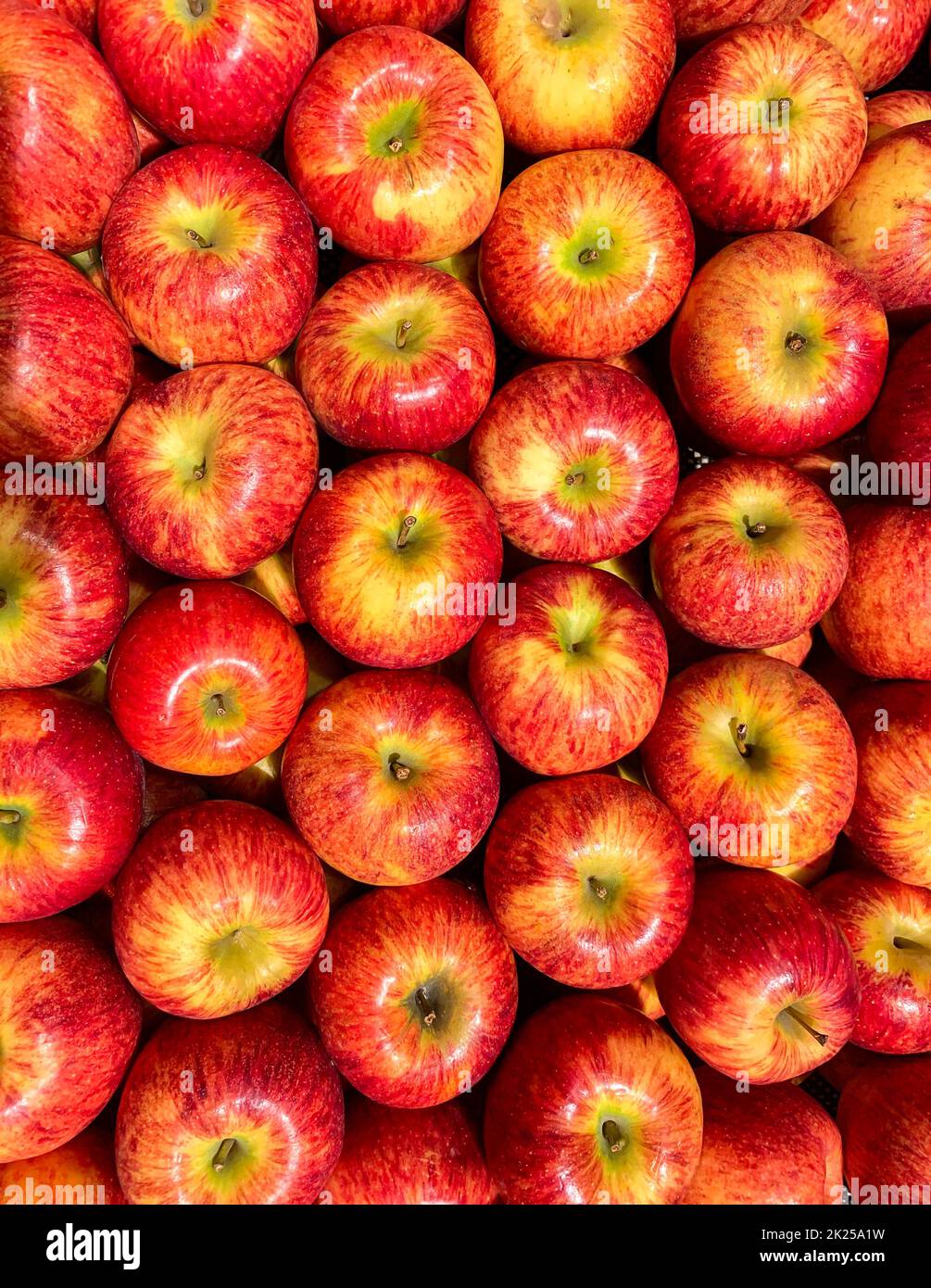 Viele leckere Äpfel. Red Organic Envy Apfel Neuseeland. Draufsicht. Nahaufnahme. Für Hintergrundbilder. Stockfoto