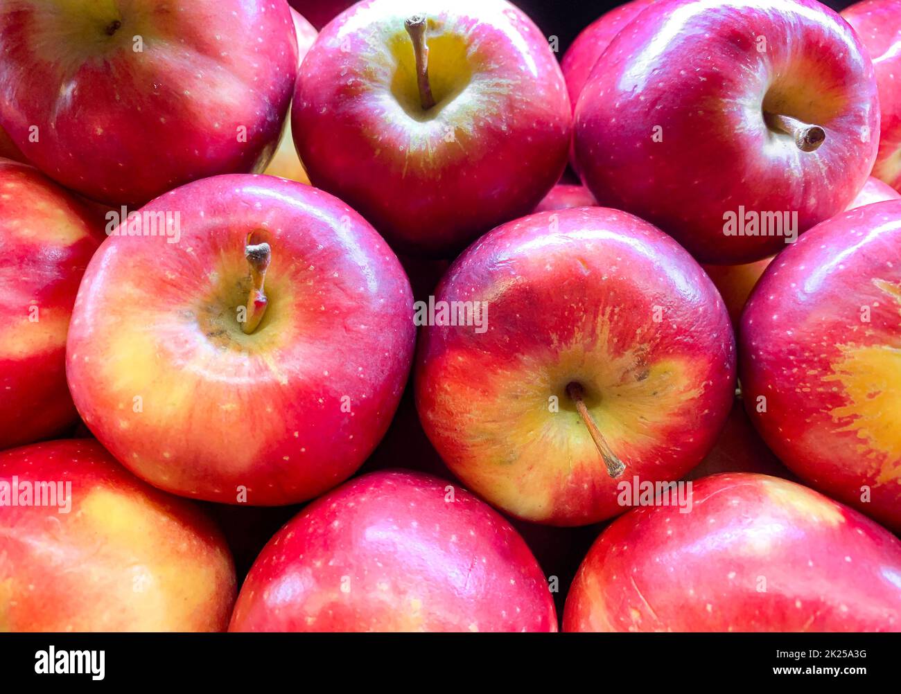 Viele leckere Äpfel. Roter Bio-Apfel Neuseeland. Nahaufnahme. Für Hintergrundbilder. Stockfoto