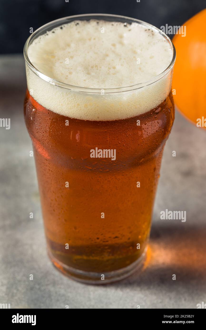 Erfrischendes Pumpkin Ale Craft Beer in einem Pint Glass Stockfoto