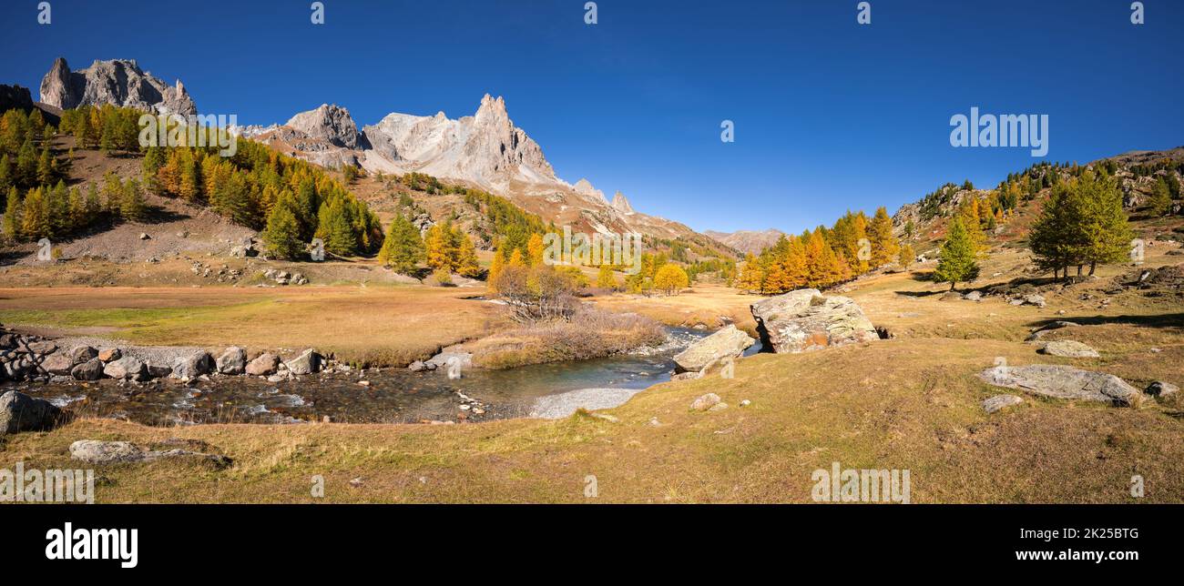 Claree Valley mit Lärchen in vollen Herbstfarben. Cerces-Massiv mit dem Main de Crepin-Gipfel. Vallee de la Claree, Hautes-Alpes, Alpen, Frankreich Stockfoto