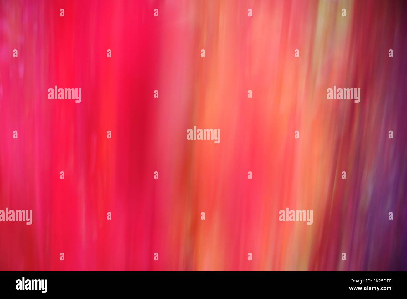 Ein farbenfrohes Muster. Das Bild wird durch Schwenken der Kamera verschwommen aufgenommen. Rote Weinblätter. Stockfoto