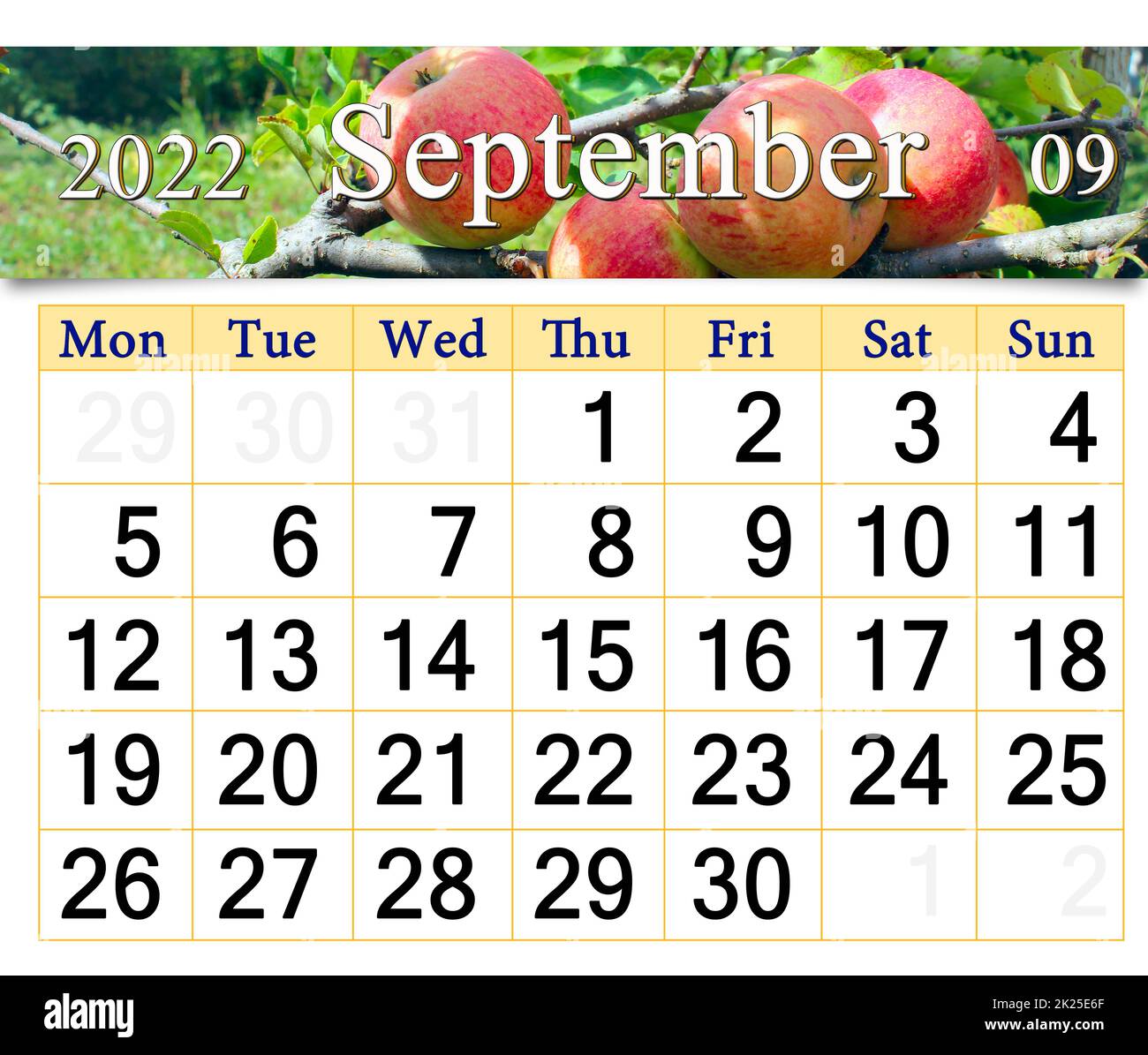 Kalender für september 2022 mit Bild von reifen roten Äpfeln auf einem Baumzweig Stockfoto