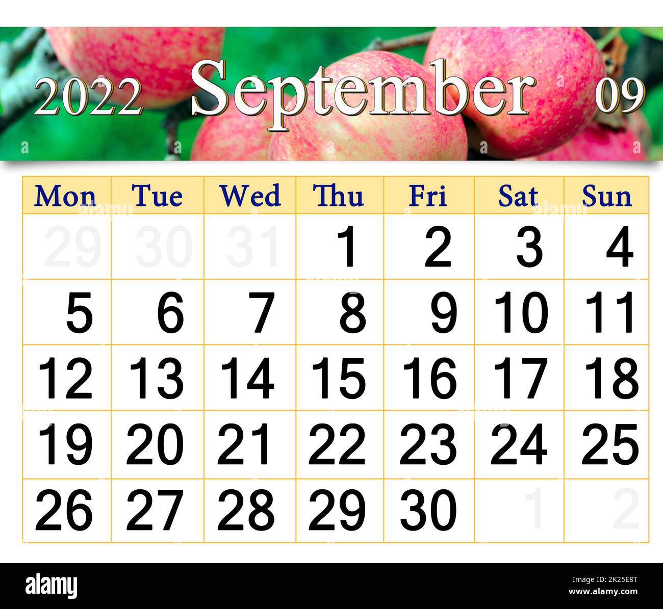 Kalender für september 2022 mit Bild von reifen roten Äpfeln auf einem Baumzweig Stockfoto